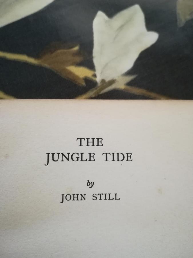Jungle Tide Panzió Kandy Kültér fotó