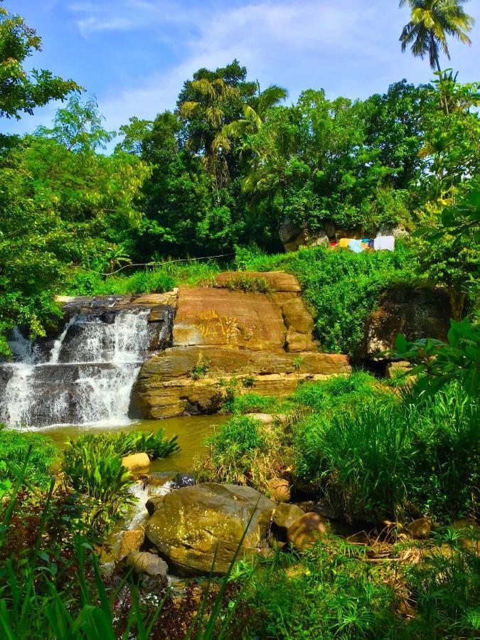 Jungle Tide Panzió Kandy Kültér fotó