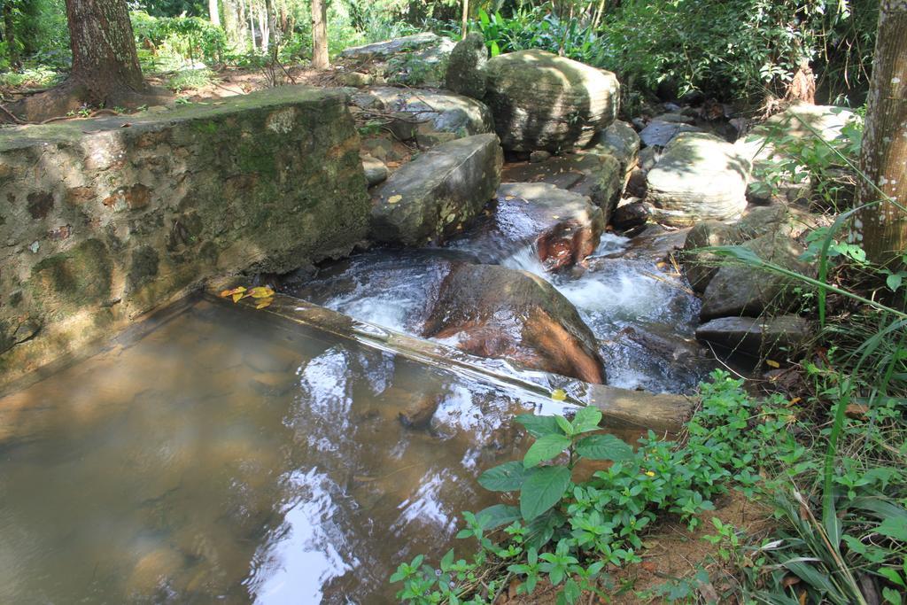 Jungle Tide Panzió Kandy Kültér fotó